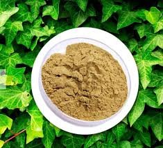 Coccinia Indica Extract